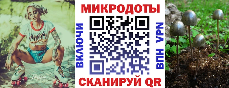 наркота  Юрьев-Польский  Псилоцибиновые грибы Psilocybine cubensis 
